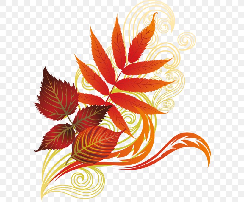Clip Art Leaf Drawing Image Autumn, PNG, 600x678px, Leaf, Autumn, Autumn Leaf Color, Botany, Drawing Download Free