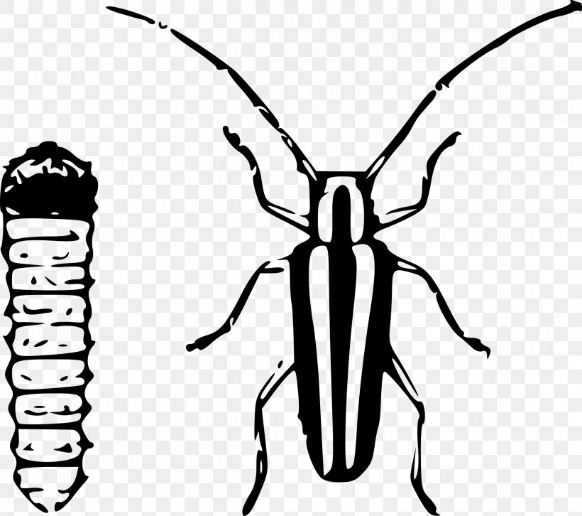 Clip Art, PNG, 2400x2126px, Apple, Arthropod, Artwork, Black And White, Branch Download Free