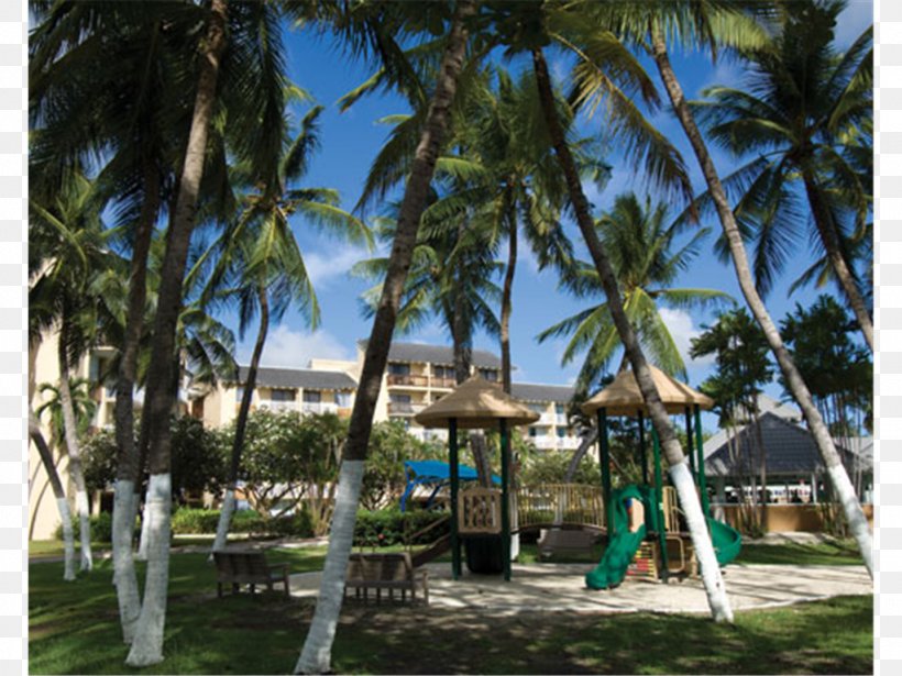 Divi Southwinds Beach Resort Hotel, PNG, 1024x768px, Resort, Arecales, Barbados, Beach, Beach Resort Download Free