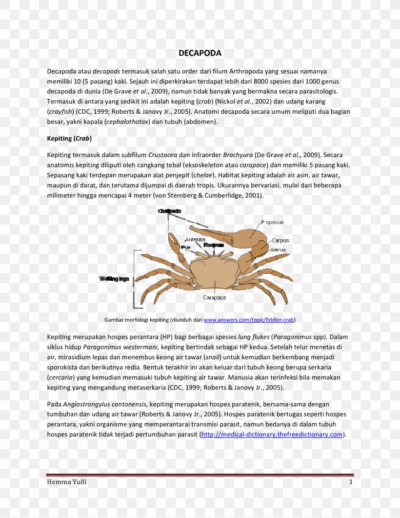 Fiddler Crab Animal, PNG, 1700x2200px, Crab, Animal, Area, Brochure, Diagram Download Free