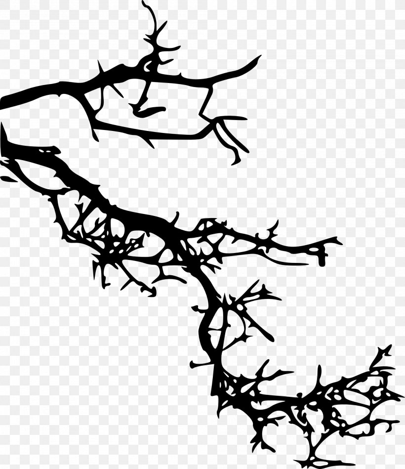 Tree Branch Silhouette, PNG, 2000x2317px, Branch, Blackandwhite, Coloring Book, Drawing, Leaf Download Free