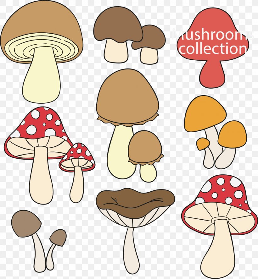 Edible Mushroom Fungus Drawing, PNG, 1415x1533px, Mushroom, Animation, Artwork, Cartoon, Common Mushroom Download Free
