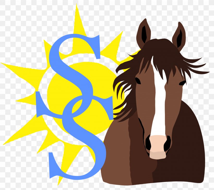 Horse Cartoon, PNG, 3650x3243px, Pony, Email, Equestrian, Horse, Horse Care Download Free