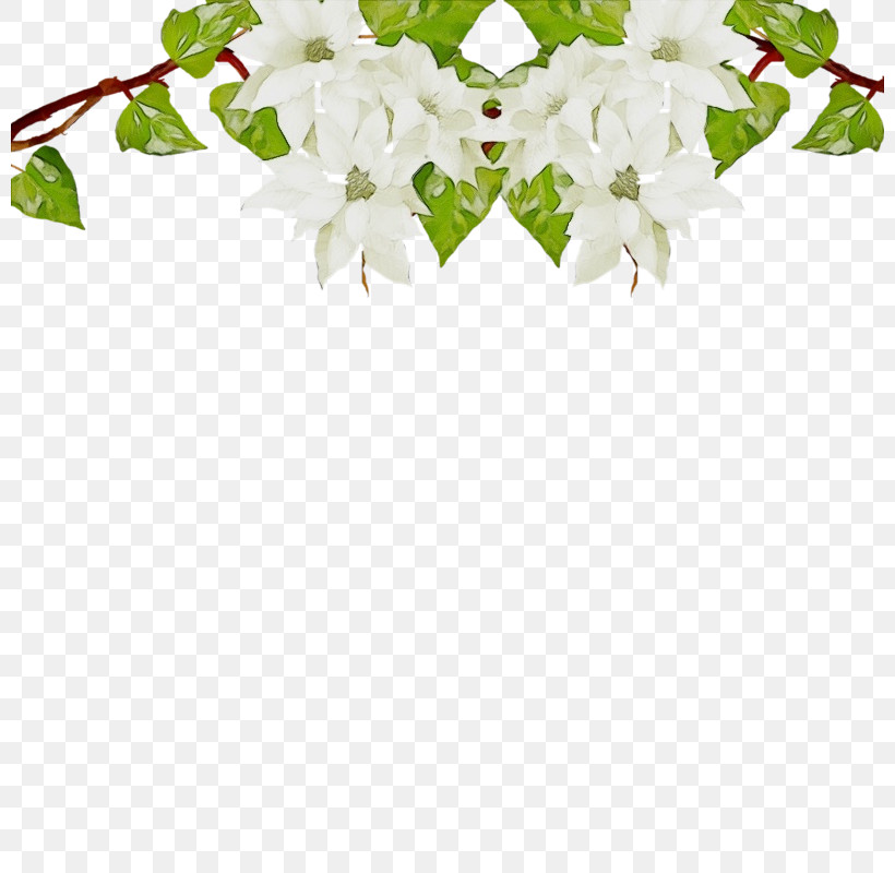 Ivy, PNG, 800x800px, Watercolor, Bougainvillea, Flower, Ivy, Leaf Download Free