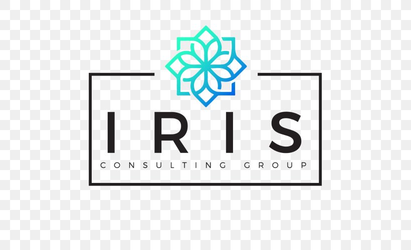 Consultant Management Consulting Business Consulting Firm Service, PNG, 500x500px, Consultant, Adviser, Area, Booz Company, Brand Download Free