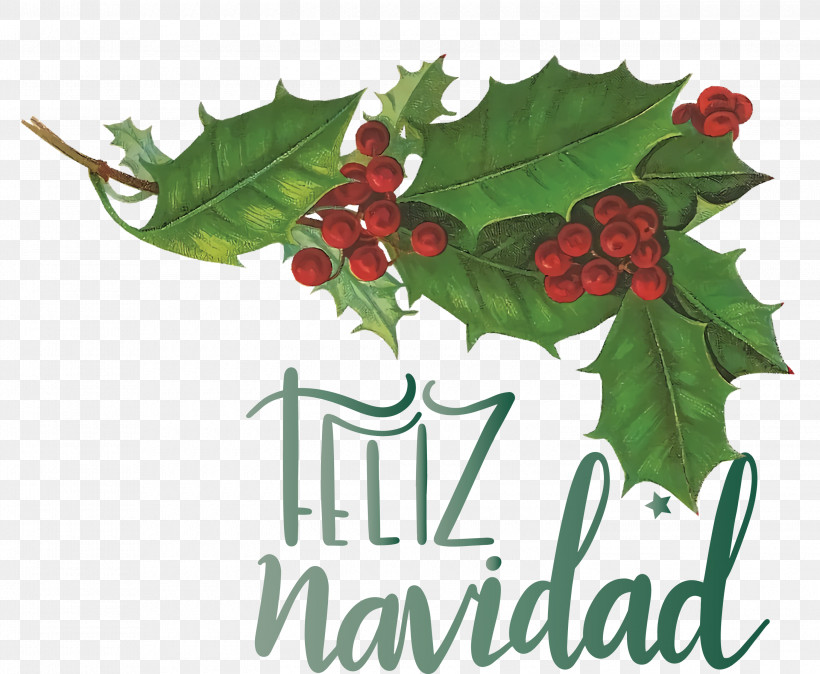 Feliz Navidad Merry Christmas, PNG, 3000x2469px, Feliz Navidad, Christmas And Holiday Season, Christmas Day, Christmas Decoration, Christmas Ornament Download Free