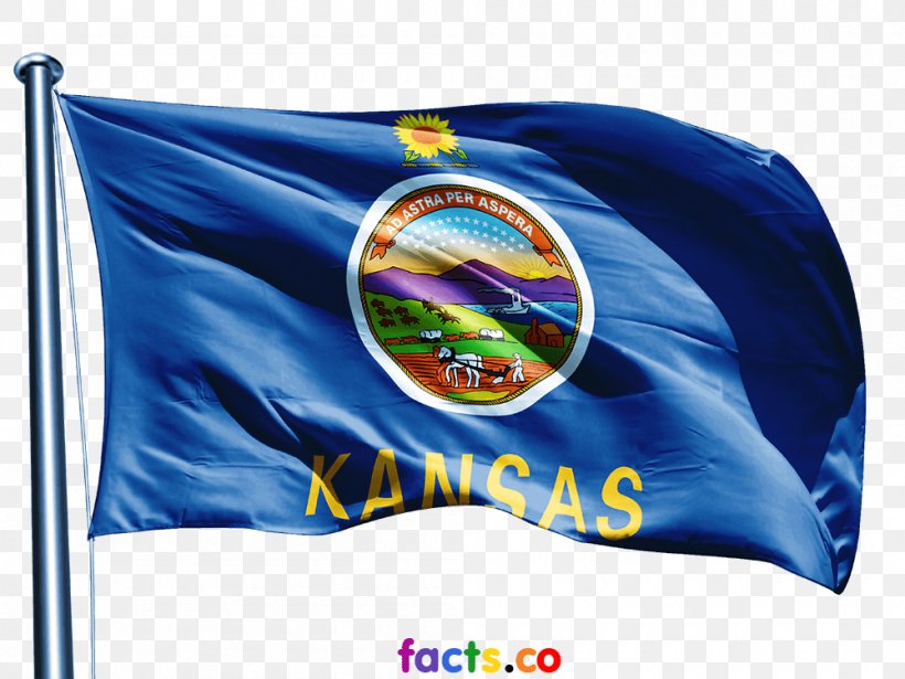 Flag Of The United Arab Emirates Flag Of Bolivia Flag Of Kansas, PNG, 1000x750px, United Arab Emirates, Flag, Flag Of Bolivia, Flag Of China, Flag Of Kansas Download Free