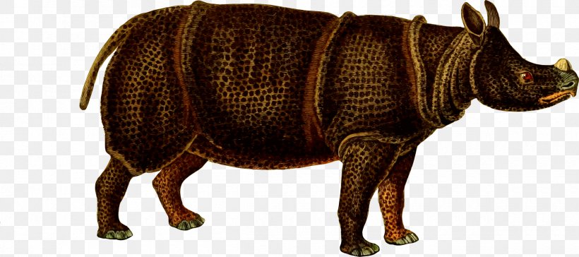 Javan Rhinoceros Giraffe Animal Wildlife, PNG, 2400x1068px, Javan Rhinoceros, Animal, Animal Figure, Cattle Like Mammal, Conservation Download Free