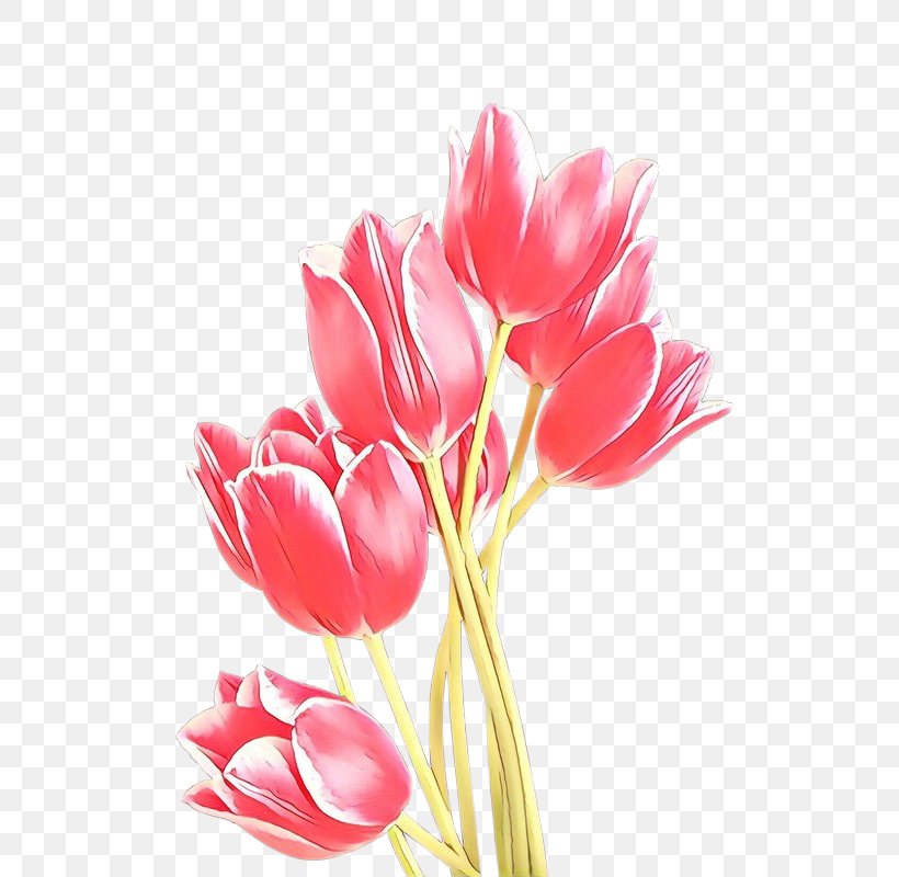 Tulip Flower Image Poster Clip Art, PNG, 533x800px, Tulip, Artificial Flower, Botany, Cut Flowers, Flower Download Free