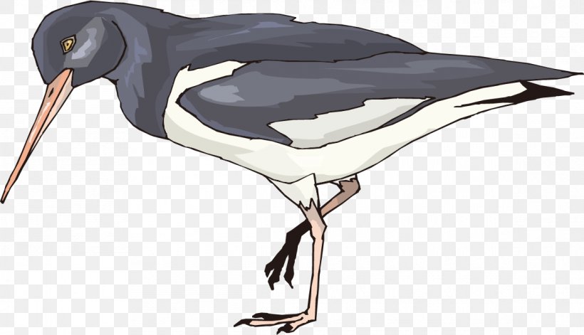 Watercolor Painting Bird Crane, PNG, 1165x670px, Watercolor Painting, Animal, Beak, Bird, Cartoon Download Free