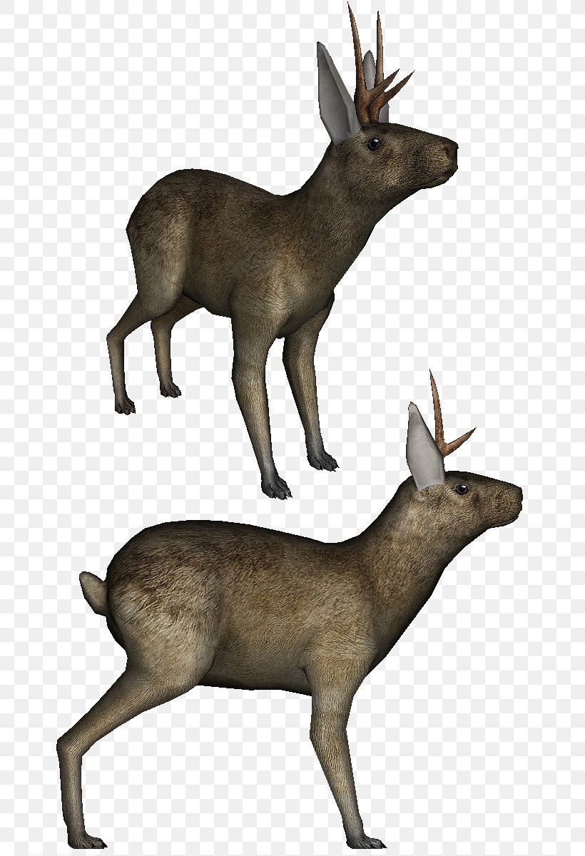 Elk White-tailed Deer Musk Deer Reindeer, PNG, 750x1200px, Elk, Animal, Antler, Deer, Fauna Download Free