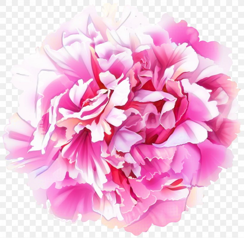 Pink Flower Cartoon, PNG, 2998x2932px, Peony, Artificial Flower, Bouquet, Carnation, Chinese Peony Download Free