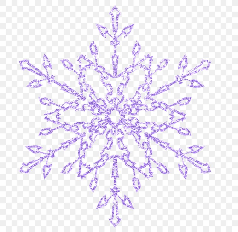 Purple Snowflake Violet, PNG, 800x800px, Purple, Google Images, Lavender, Point, Shape Download Free