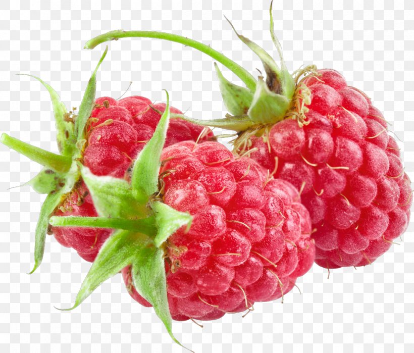 Red Raspberry Everbearing Raspberry Photography Clip Art, PNG, 1200x1024px, Red Raspberry, Berry, Boysenberry, Computer Graphics, Digital Image Download Free