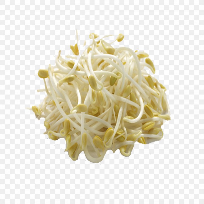 Sprouting Soybean Sprout Chinese Cuisine Mung Bean Sprout Food, PNG, 2048x2048px, Sprouting, Alfalfa, Alfalfa Sprouts, Bean, Bean Sprouts Download Free