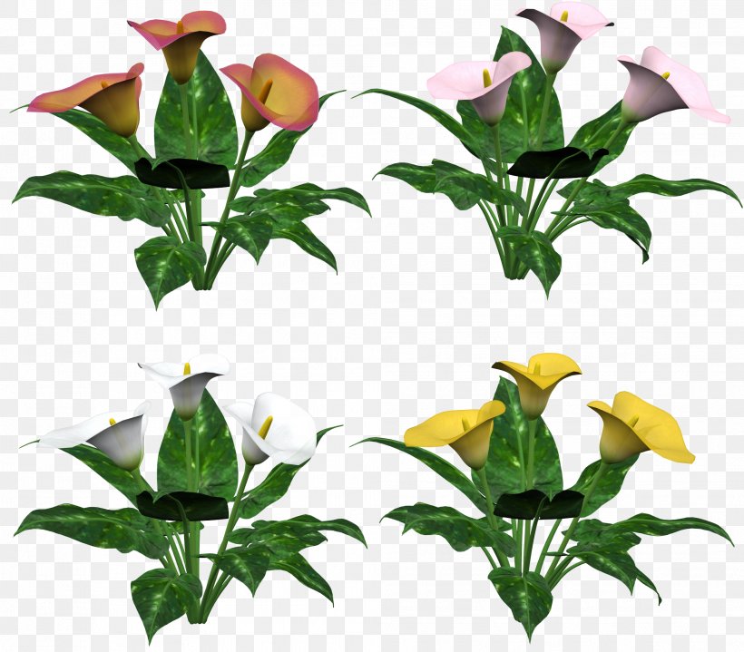 Flower Clip Art, PNG, 1988x1745px, Flower, Arumlily, Branch, Callalily, Floral Design Download Free
