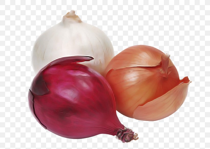 Onion Vegetable Shallot Red Onion Yellow Onion, PNG, 800x585px, Onion, Allium, Food, Pearl Onion, Plant Download Free