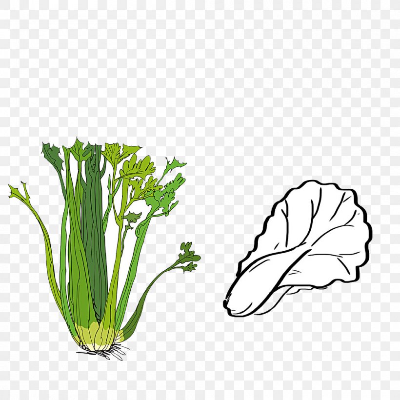 Image Resolution Vegetable Pixel, PNG, 1000x1000px, Vegetable, Botany, Celery, Chives, Cmyk Color Model Download Free