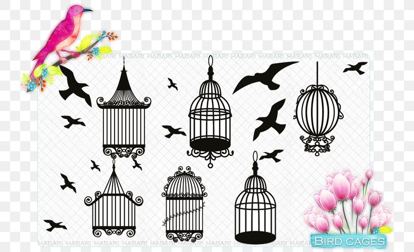 Birdcage Drawing, PNG, 750x500px, Bird, Animal, Antique, Birdcage, Cage Download Free
