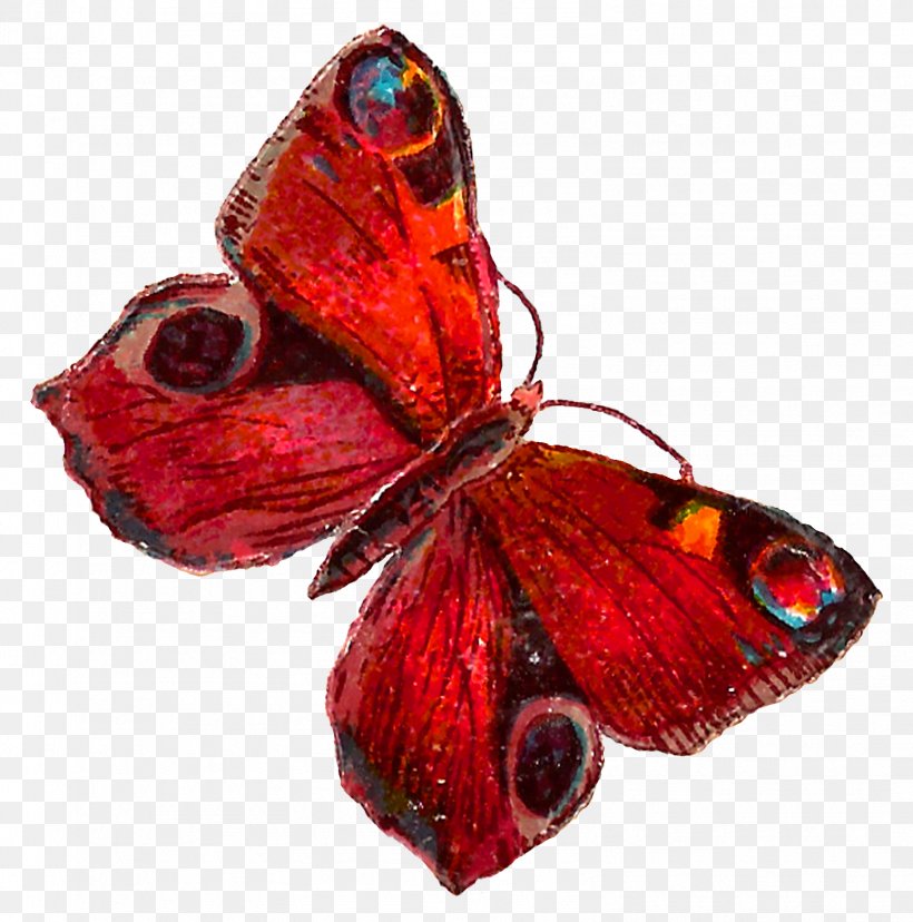 Butterfly Aglais Io Insect Moths And Butterflies Red, PNG, 1584x1600px, Butterfly, Aglais Io, Brushfooted Butterfly, Insect, Moths And Butterflies Download Free