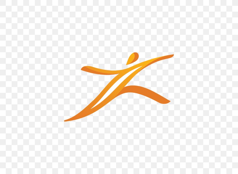 Logo Symbol, PNG, 800x600px, Logo, Orange, Symbol, Wing Download Free