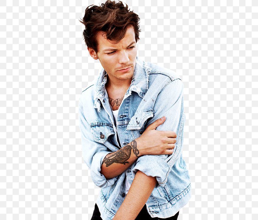Louis Tomlinson The X Factor Singer-songwriter Celebrity, PNG, 500x700px, Watercolor, Cartoon, Flower, Frame, Heart Download Free