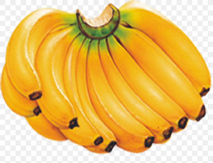 Banana Fruit Nutrition Food, PNG, 978x749px, Banana, Banana Chip, Banana Family, Banana Leaf, Blueberry Download Free