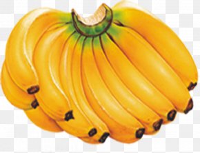 Banana - Banana Fruit Nutrition Food PNG
