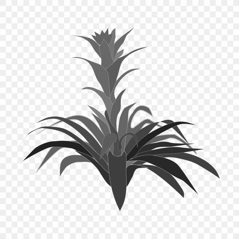 Bromelia Clip Art, PNG, 2400x2400px, Bromelia, Arecales, Black And White, Bromeliads, Flora Download Free