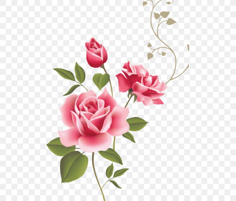 Clip Art Rose Openclipart Vector Graphics Flower, PNG, 495x700px, Rose, Artificial Flower, Cut Flowers, English Rose, Floral Design Download Free