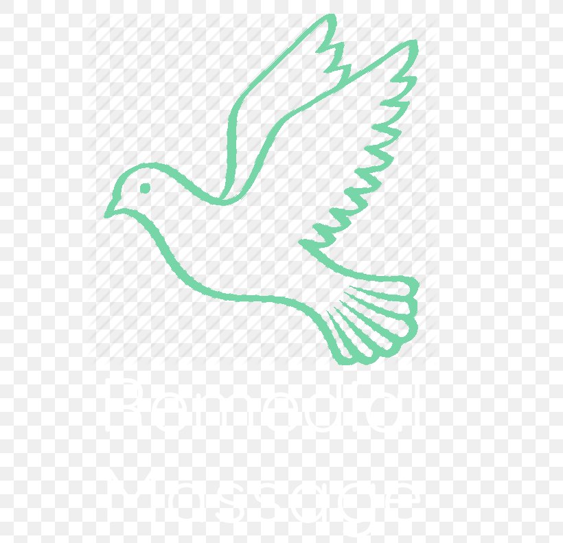 Columbidae Olive Branch Doves As Symbols Peace Symbols, PNG, 791x791px, Columbidae, Area, Beak, Bird, Doves As Symbols Download Free