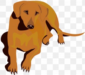 Car Overlooking - Dog Cat Puppy Lion Mammal PNG