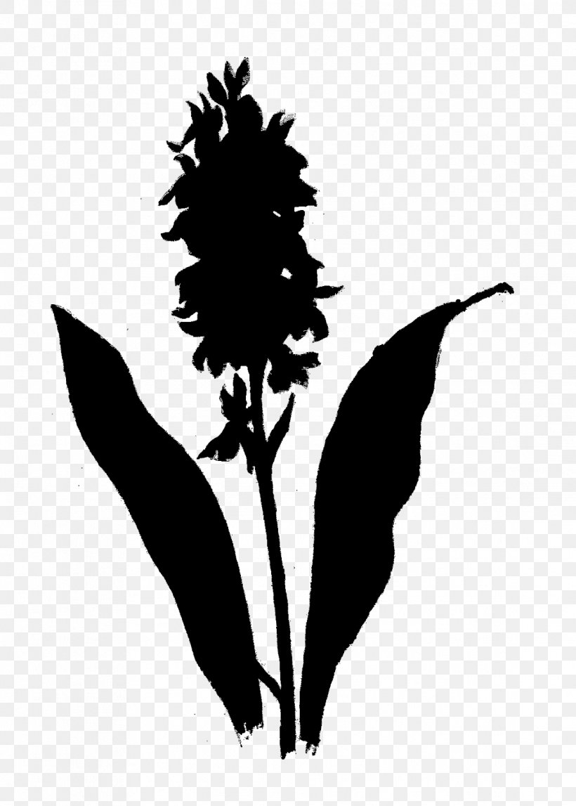 Flower Plant Stem Leaf Clip Art Silhouette, PNG, 1143x1600px, Flower, Blackandwhite, Botany, Branching, Flowering Plant Download Free