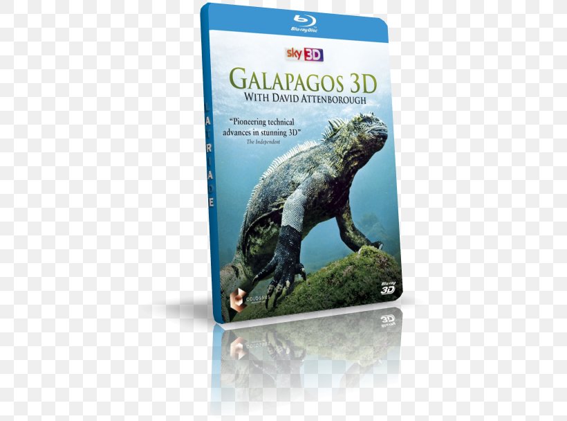 Reptile Galápagos Islands Fauna Ecosystem DVD, PNG, 417x608px, Reptile, David Attenborough, Dvd, Ecosystem, Fauna Download Free