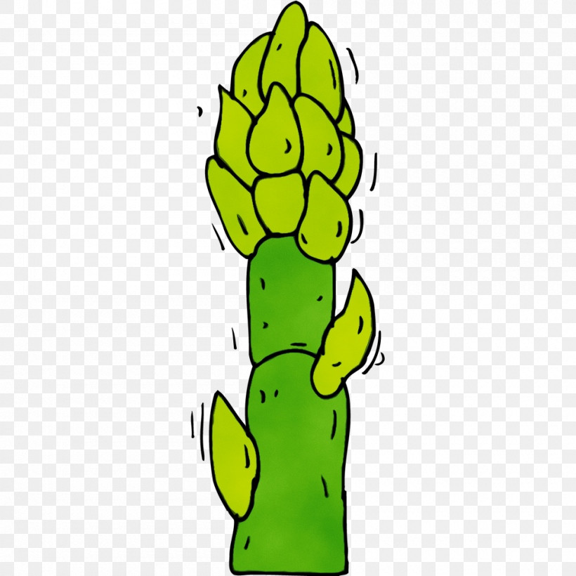 Cactus, PNG, 1000x1000px, Watercolor, Barbary Fig, Cactus, Cartoon, Green Download Free