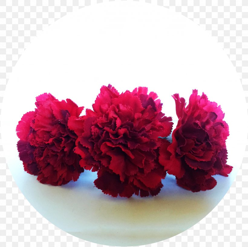 Carnation Red Cut Flowers Magenta, PNG, 2456x2448px, Carnation, Color, Cut Flowers, Flower, Flowering Plant Download Free
