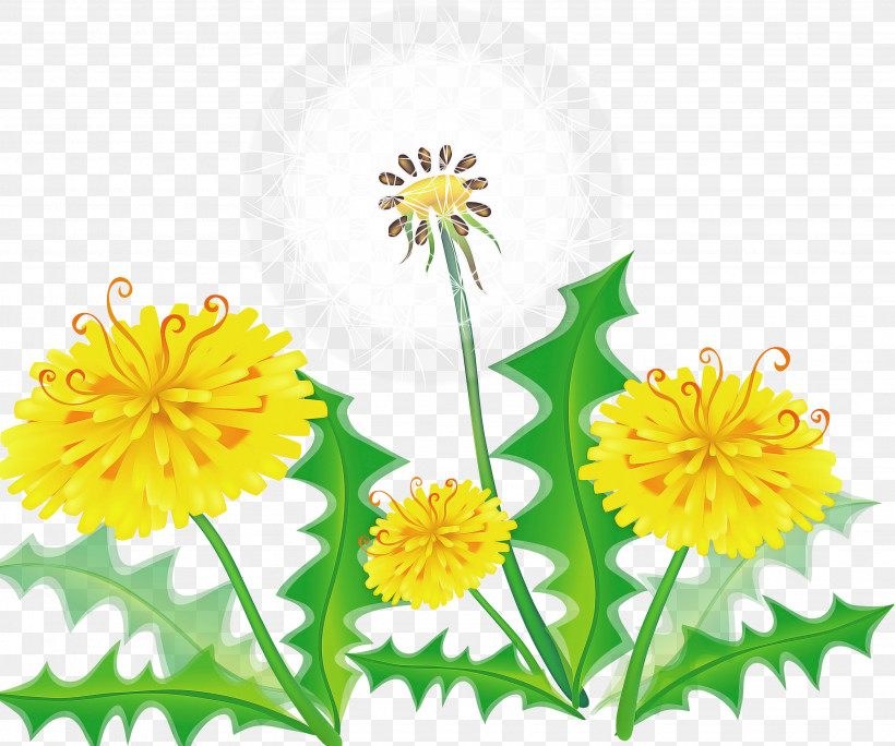 Flower Yellow Dandelion Plant Dandelion, PNG, 3080x2571px, Flower, Chamomile, Daisy Family, Dandelion, English Marigold Download Free