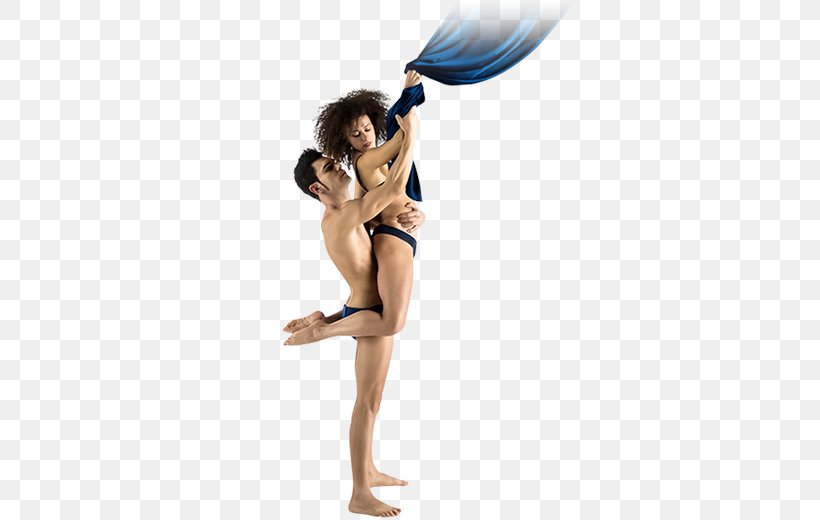 Physical Fitness, PNG, 650x520px, Physical Fitness, Arm, Dancer, Joint Download Free