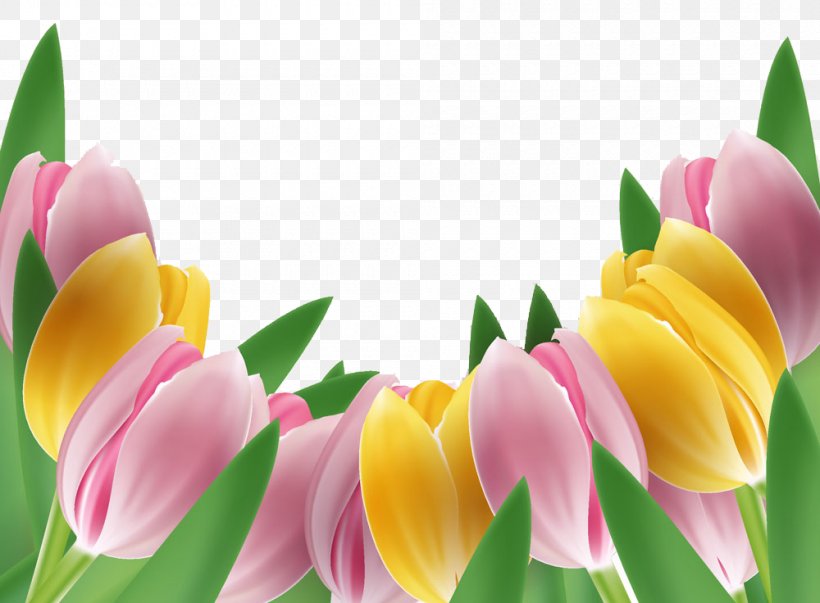 Tulip Flower, PNG, 1000x736px, Tulip, Cartoon, Color, Cut Flowers, Floral Design Download Free