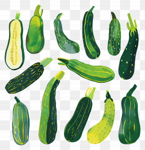 Zucchini - Variety Of Fresh Green Zucchinis PNG