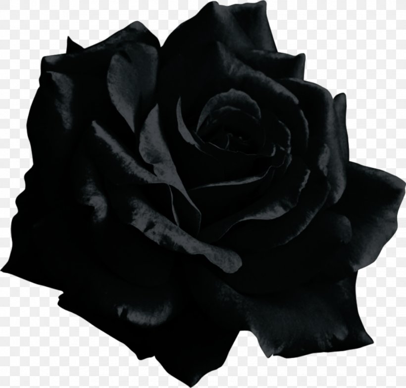 Black Rose Clip Art Image, PNG, 1129x1080px, Black Rose, Art, Black, Blackandwhite, Cut Flowers Download Free