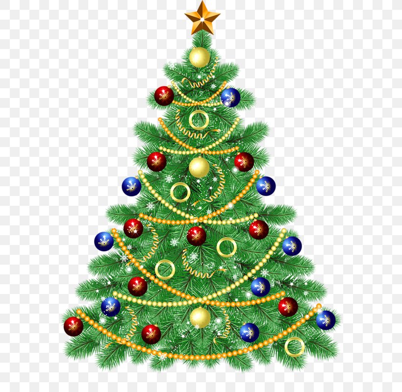 Christmas Tree Clip Art, PNG, 624x800px, Christmas, Christmas Decoration, Christmas Ornament, Christmas Tree, Conifer Download Free