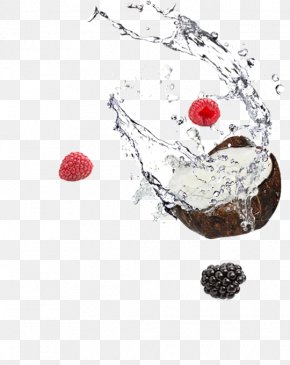 Freakshake - Coconut Water Coconut Milk Quick And Dirty Tips Designer PNG