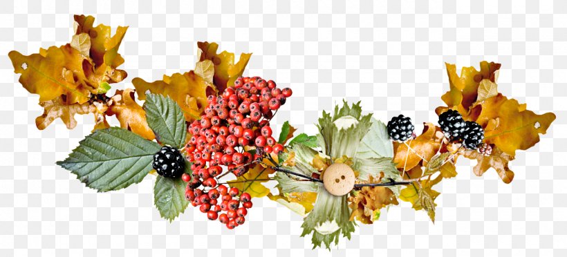 Holly, PNG, 1280x582px, Blackberry, Berry, Branch, Fruit, Holly Download Free