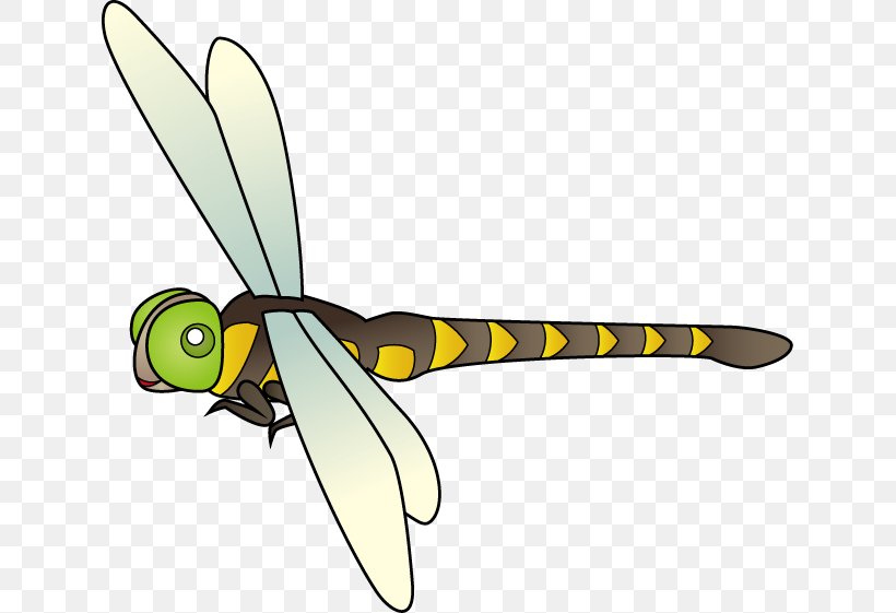 Insect Anotogaster Sieboldii Cordulegastridae Clip Art Sympetrum Frequens, PNG, 633x561px, Insect, Antlion, Arthropod, Cold Weapon, Dragonflies And Damseflies Download Free