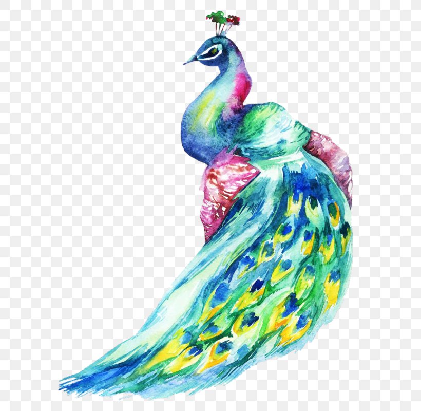 Iron-on Bird Peafowl Drawing, PNG, 613x800px, Ironon, Art, Beak, Bird, Costume Design Download Free