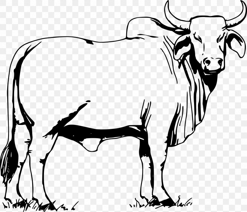 Ox Brahman Cattle Bull Clip Art, PNG, 2400x2061px, Brahman Cattle, Art, Artwork, Black And White, Bull Download Free