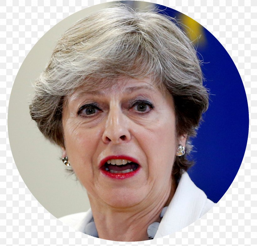 Theresa May Brexit United Kingdom European Union Democratic Unionist Party, PNG, 1585x1518px, Theresa May, Boris Johnson, Brexit, Cheek, Chin Download Free