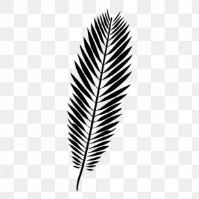 M Leaf - Black & White PNG