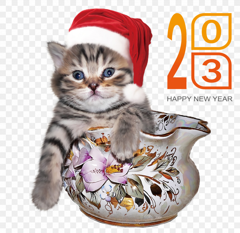 New Year, PNG, 3501x3401px, Poodle, Cat, Cat Food, Christmas, Christmas Card Download Free